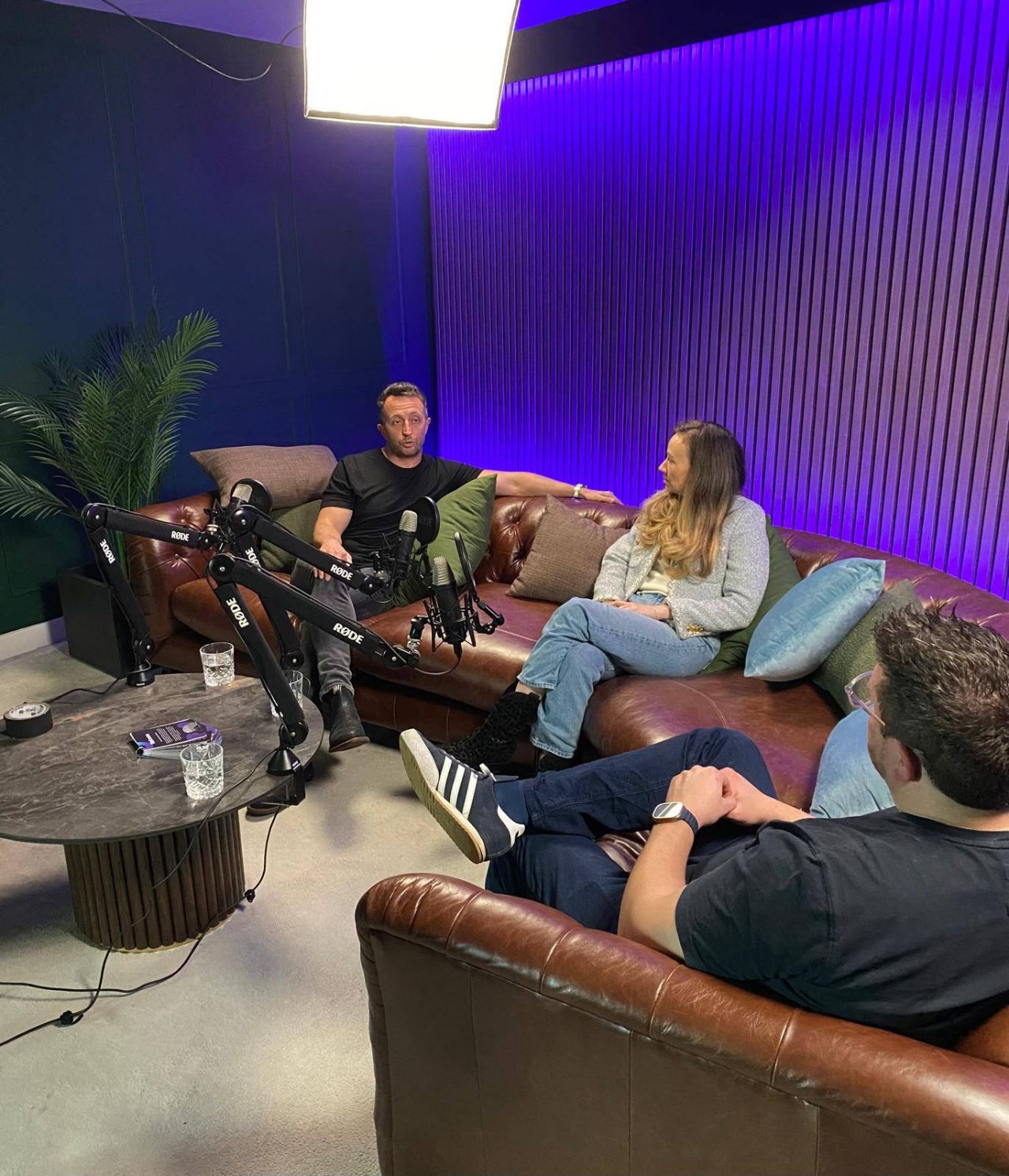 Podcast Snippet