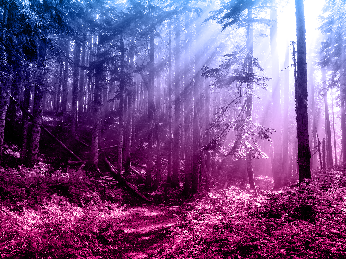 Psychological Safety Desktop